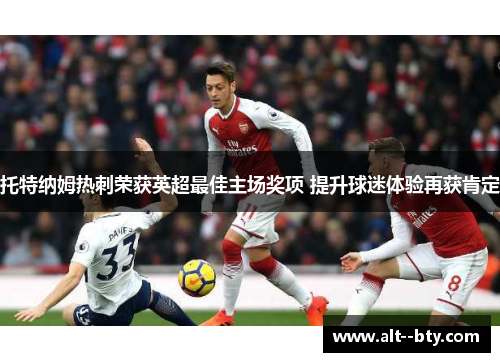 托特纳姆热刺荣获英超最佳主场奖项 提升球迷体验再获肯定
